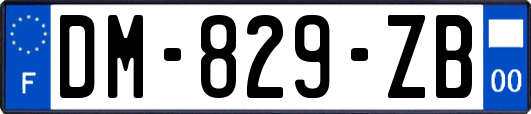 DM-829-ZB