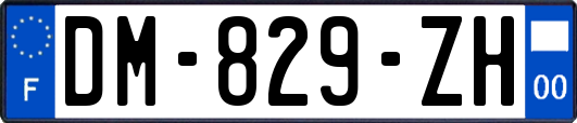 DM-829-ZH