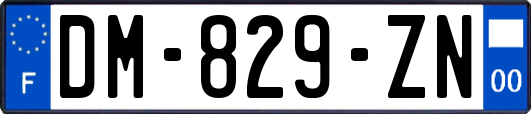 DM-829-ZN