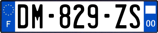 DM-829-ZS