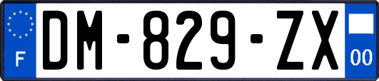 DM-829-ZX