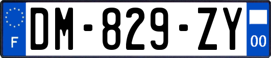 DM-829-ZY