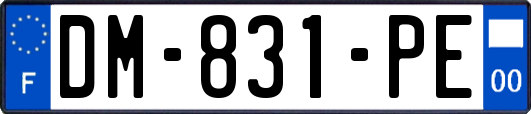 DM-831-PE