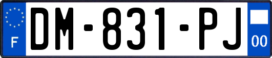DM-831-PJ
