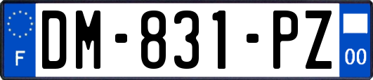 DM-831-PZ
