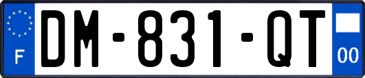DM-831-QT