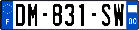DM-831-SW