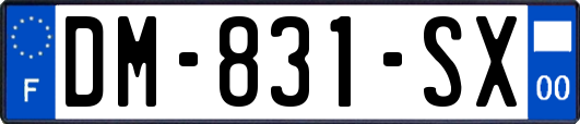 DM-831-SX