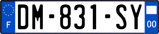 DM-831-SY