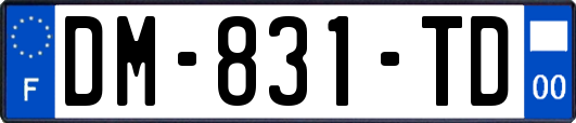 DM-831-TD