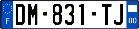 DM-831-TJ