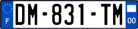 DM-831-TM