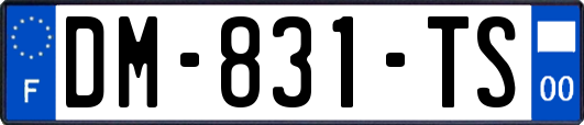 DM-831-TS