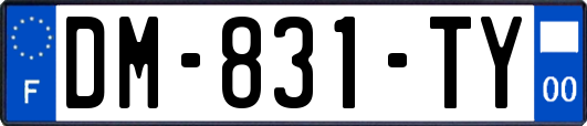 DM-831-TY