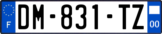 DM-831-TZ