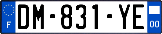 DM-831-YE