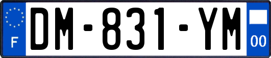 DM-831-YM