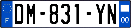 DM-831-YN