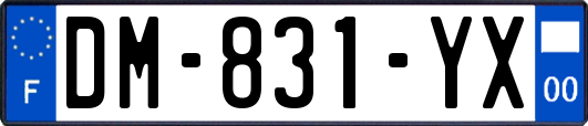 DM-831-YX