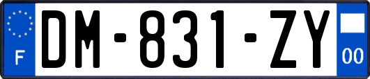 DM-831-ZY