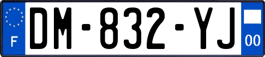 DM-832-YJ