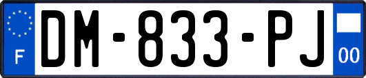 DM-833-PJ