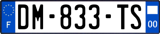 DM-833-TS