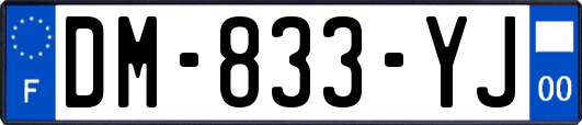 DM-833-YJ