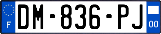 DM-836-PJ