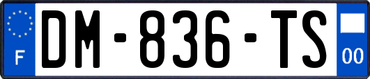 DM-836-TS