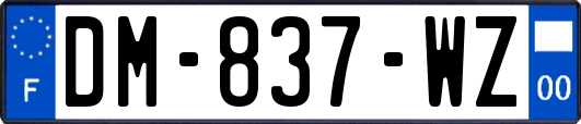 DM-837-WZ