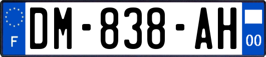 DM-838-AH