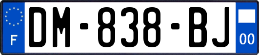 DM-838-BJ