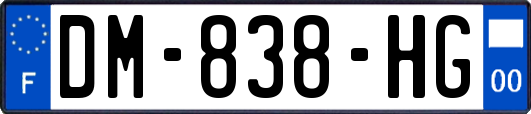 DM-838-HG