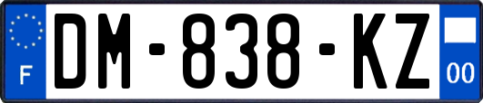 DM-838-KZ