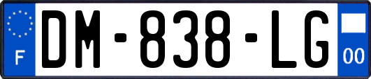 DM-838-LG
