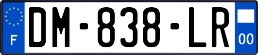 DM-838-LR