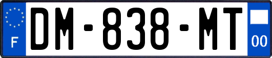 DM-838-MT