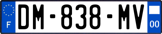 DM-838-MV