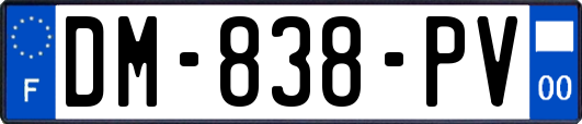 DM-838-PV
