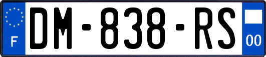 DM-838-RS