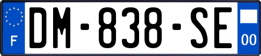 DM-838-SE