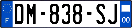 DM-838-SJ