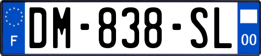 DM-838-SL