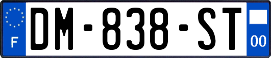 DM-838-ST