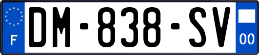 DM-838-SV