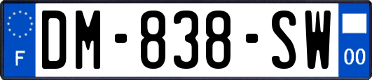 DM-838-SW