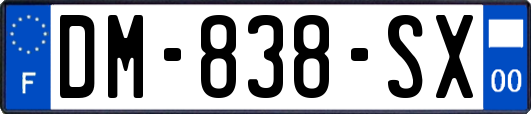 DM-838-SX