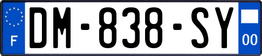 DM-838-SY