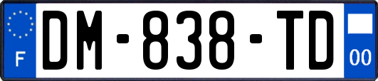 DM-838-TD